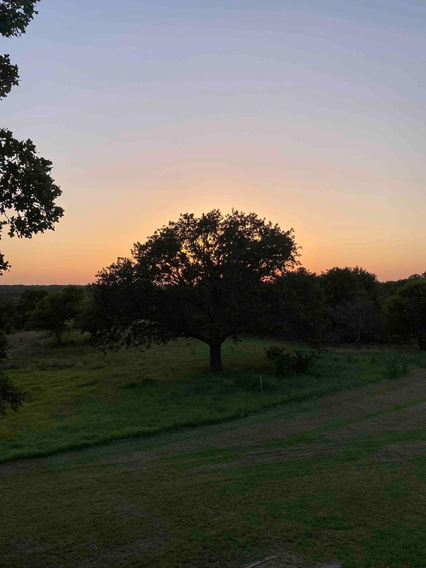 Nature Retreateclectic Country Boho Farmhouse Nocona Exteriör bild