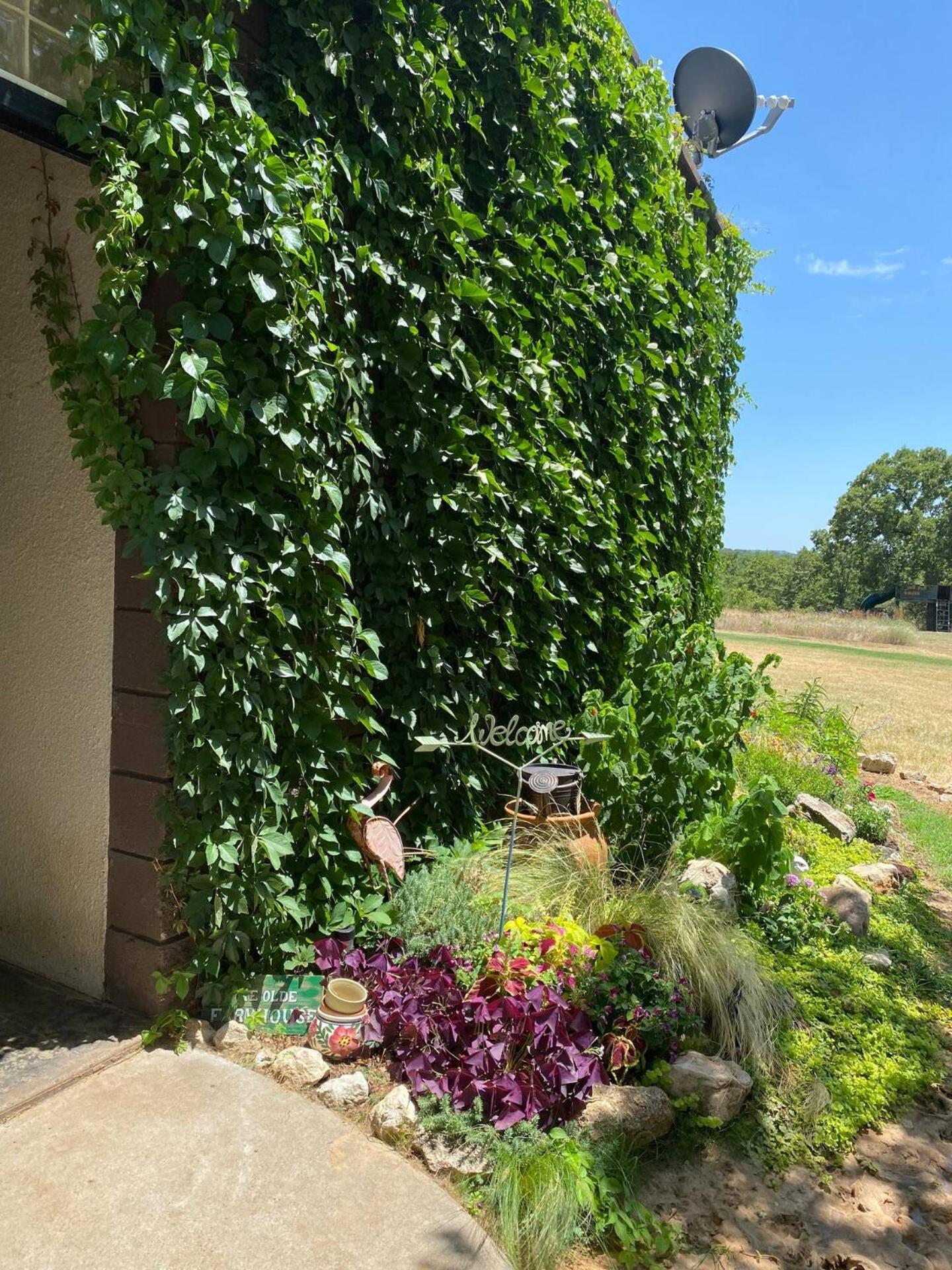 Nature Retreateclectic Country Boho Farmhouse Nocona Exteriör bild